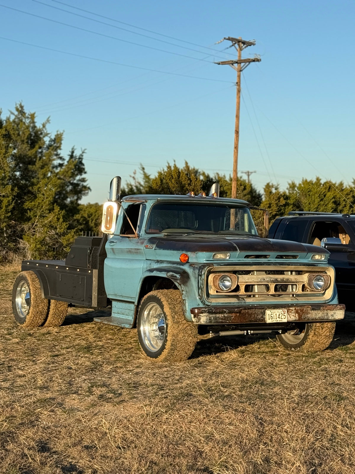 Eeyore, the blue 1962 Chevy Viking, parked in a field