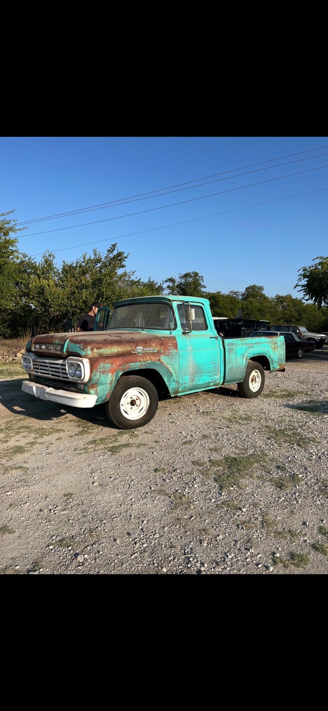 1959 Ford F100 from the side